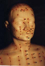 Akupunkturpunkte an Kopf und Oberkörper